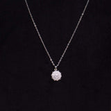 Felizmoda Silver Necklace & 15 Red Roses – Valentine’s Gift