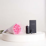 Lazaro Car Diffuser & Pink Roses Bouquet
