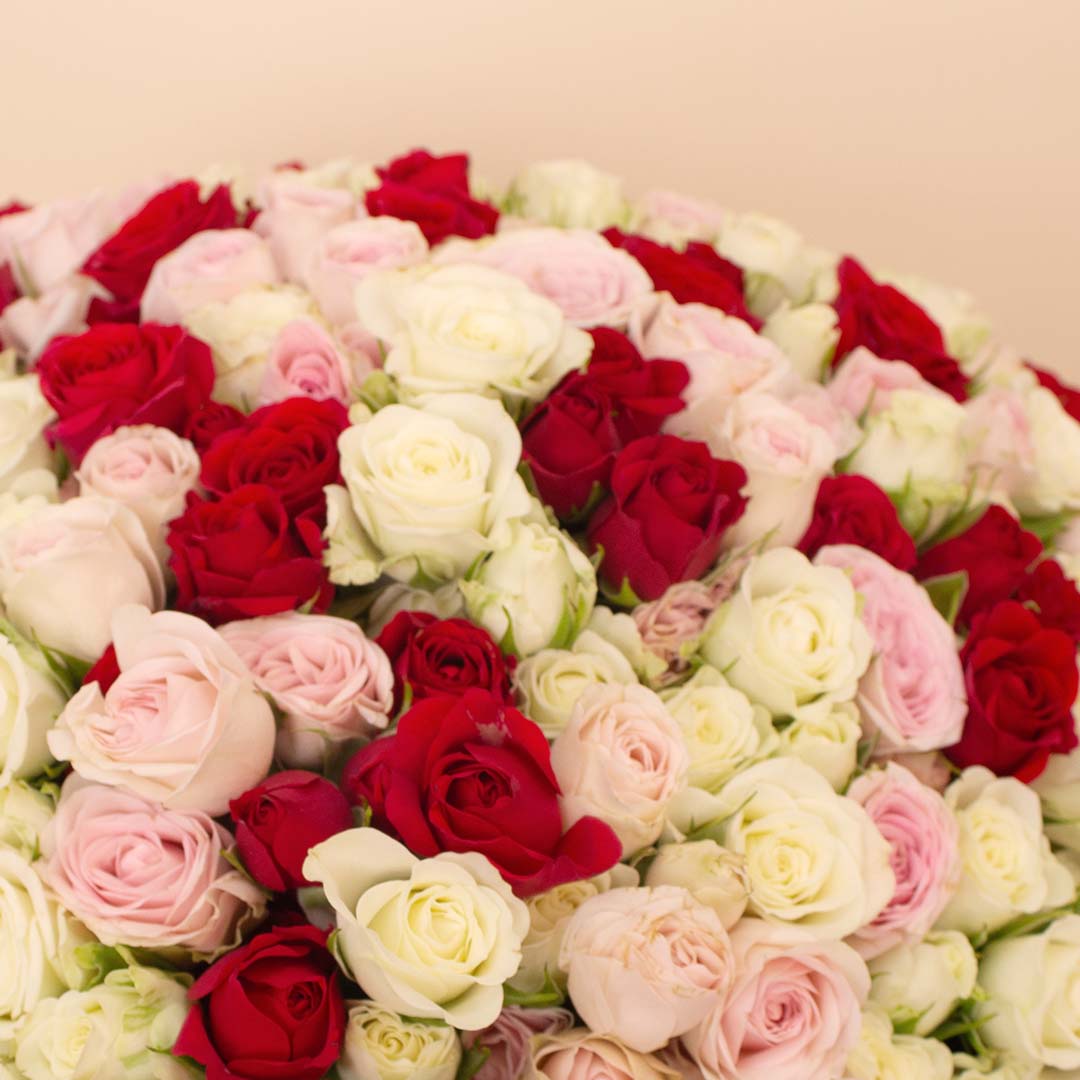 Flowrista | Bouquet of 100 White, Pink & Red Roses