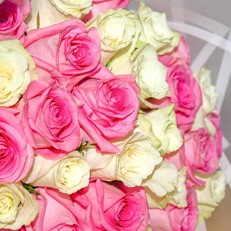 30 Pink And White Roses bouquet