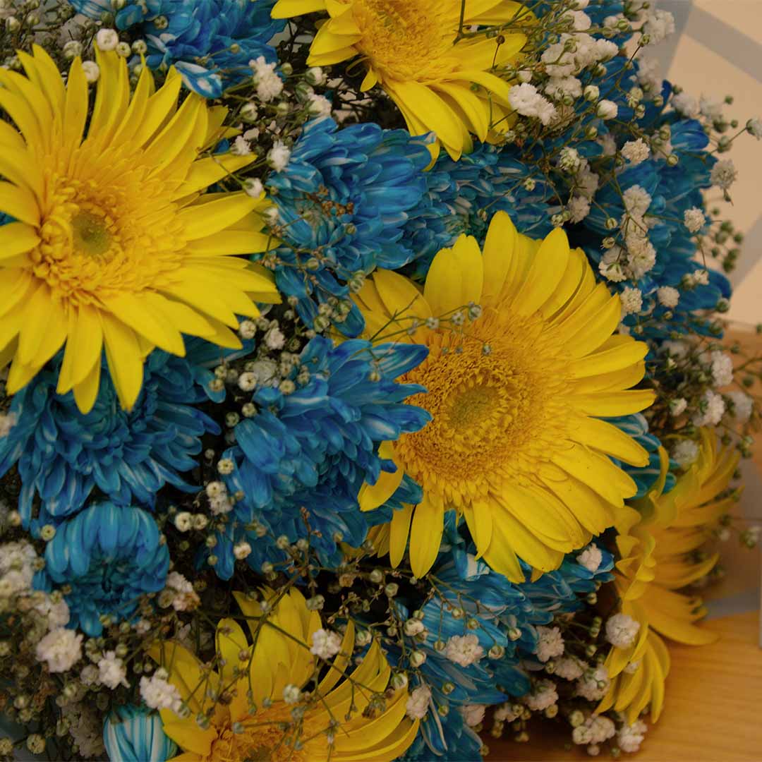 Flowrista | Blue Chrysanthemum & Yellow Gerbera Bouquet