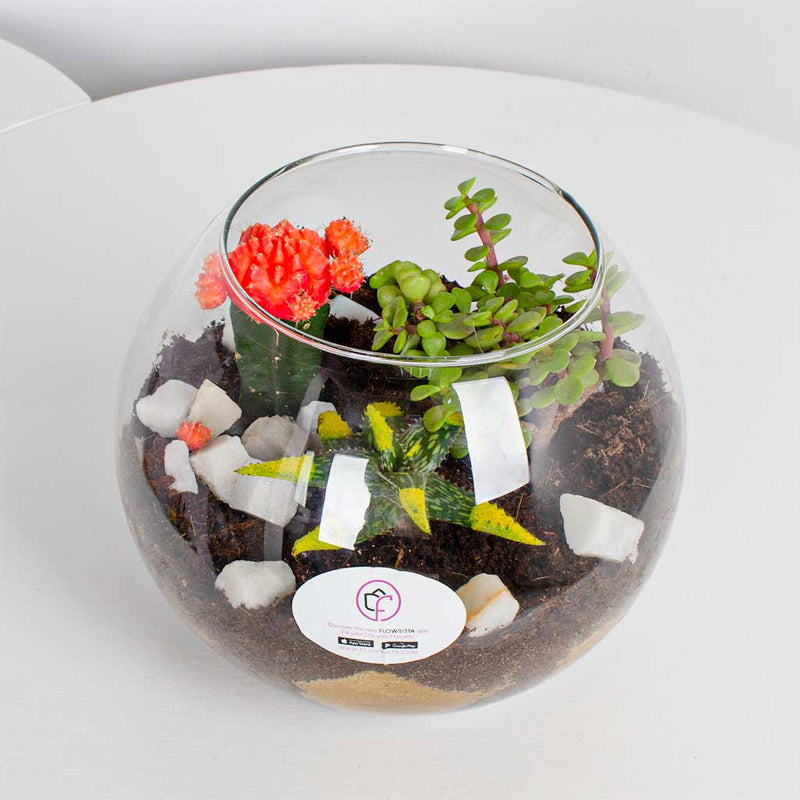 Red Moon Cactus Vase