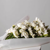 Markiz Rhodium Opal Necklace & 10 White Chrysanthemum Bouquet