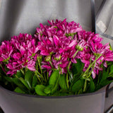 Purple Chrysanthemum Bouquet