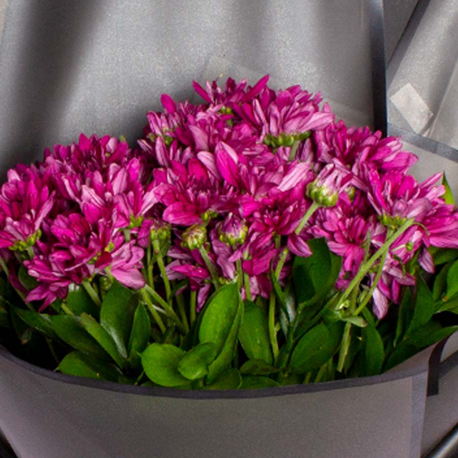 Purple Chrysanthemum Bouquet