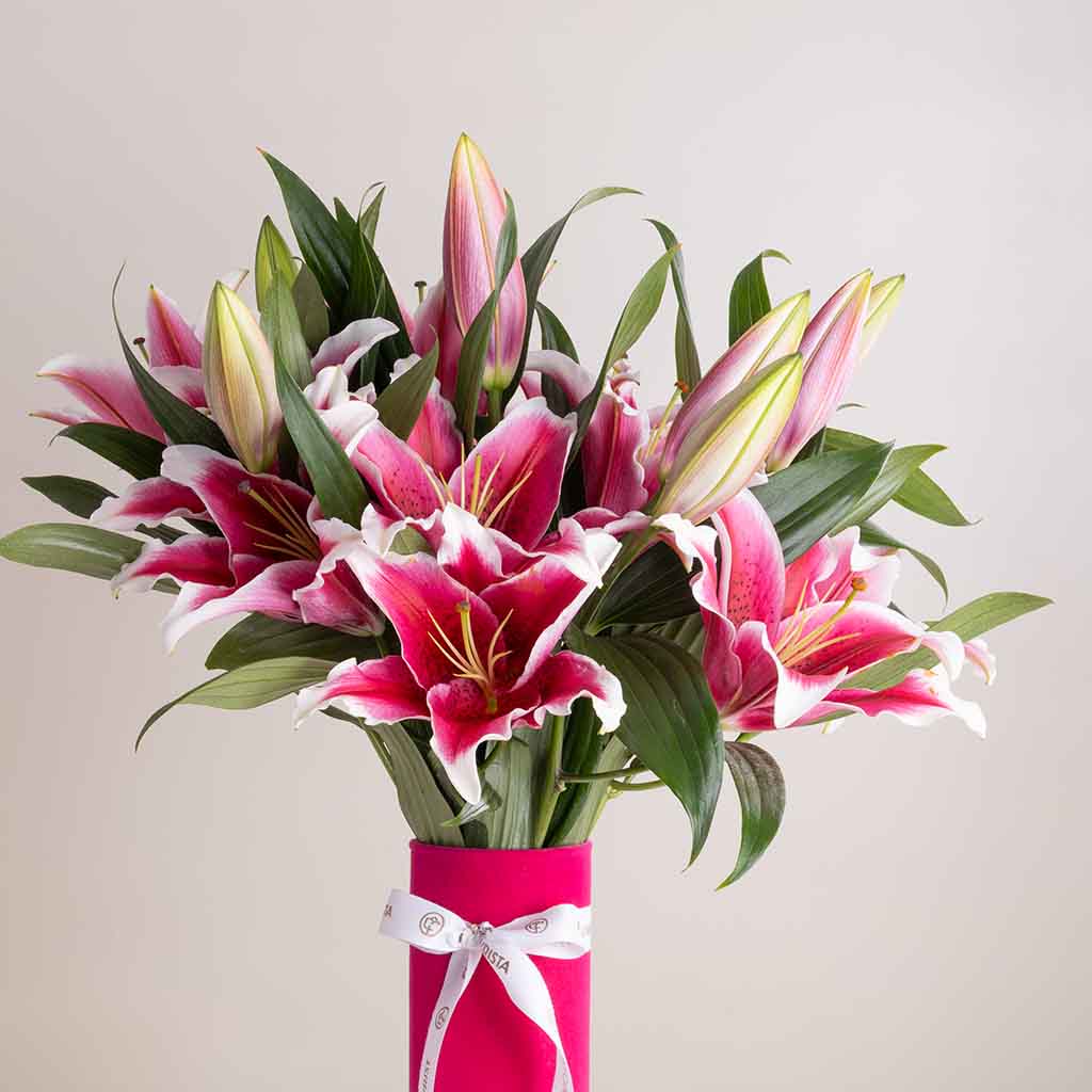 Velvet Lily Vase