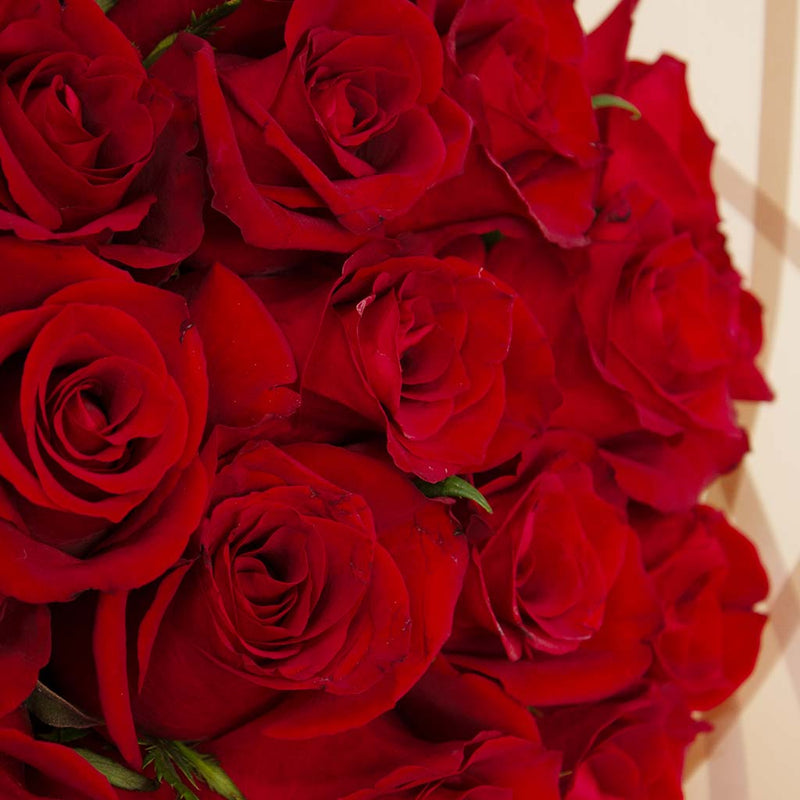 Flowrista Red Roses Bouquet | 20 Roses