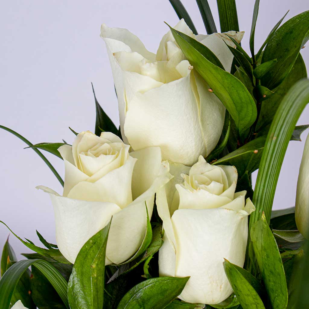 Levai & Loris Duke Card Holder | White Roses Vase