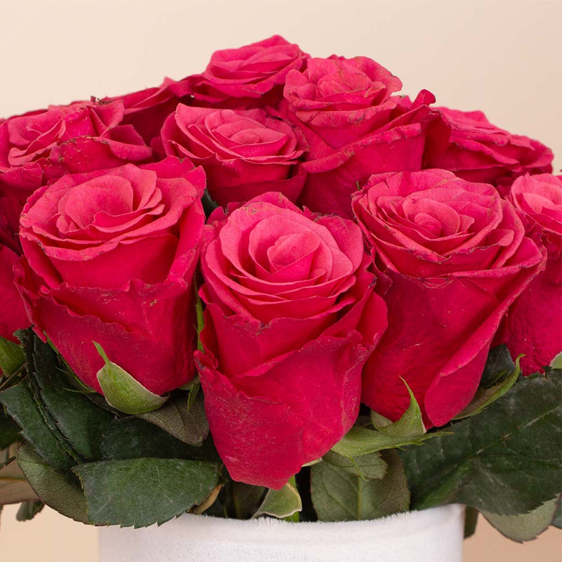 Deep Fuchsia Signature Vase - 20 Stems