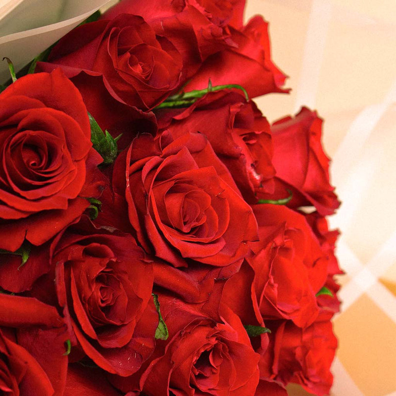 Forever Yours Bouquet | 20 Red Rose