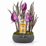 A premium gift set featuring Abdul Samad Al Qurashi Warm Vanilla 50ml perfume paired with deep purple roses in an elegant concrete vase, crafted by Flowrista. Perfect for luxury gifting in Dubai.