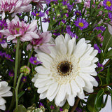 White Caranthantum & Gerbera Vase