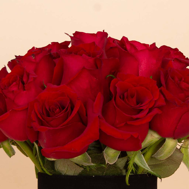 Crimson Vase - 20 Red Roses