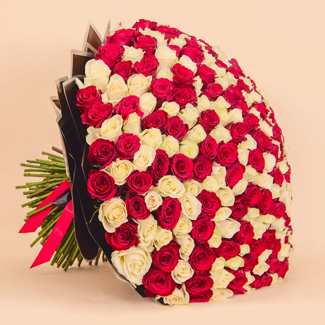 Flowrista | Grand Bouquet of 250 Red & White Roses
