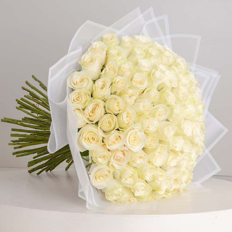 100 White Roses bouquet