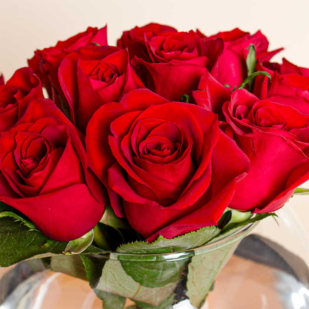 Nuit Fragrances True Hipster | Red Rose Vase