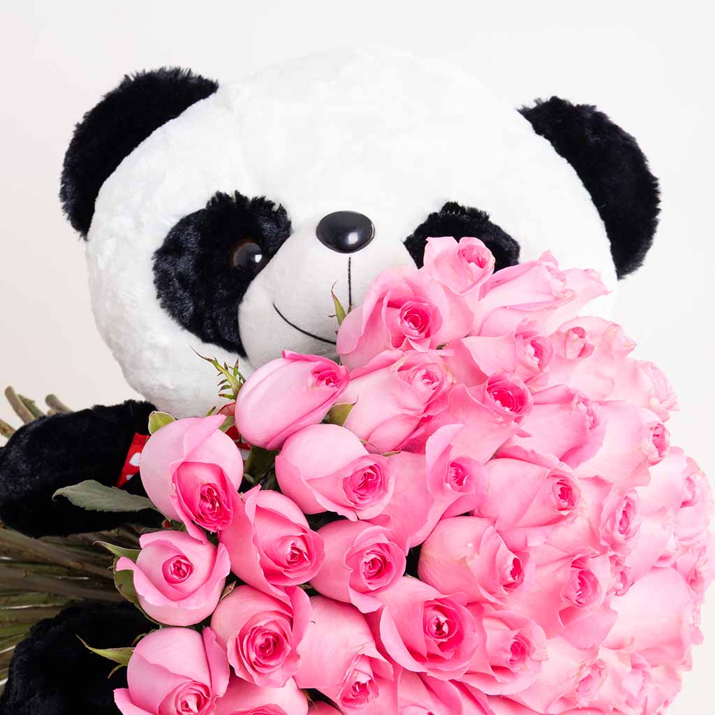 Panda Revival Love