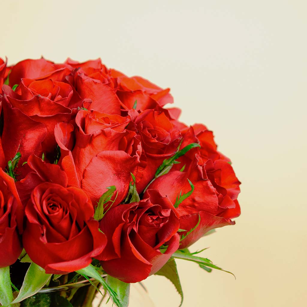 Amaz The Majestic Palace and Red Love Roses Vase