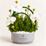 A floral arrangement in a round gray pot by Flowrista, featuring white orchids, green foliage, yellow globe flowers, and white decorative stones, photographed against a clean off-white background.