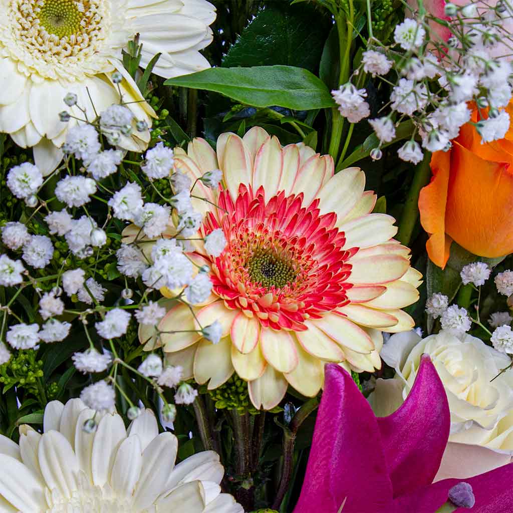 Flower Mix Box