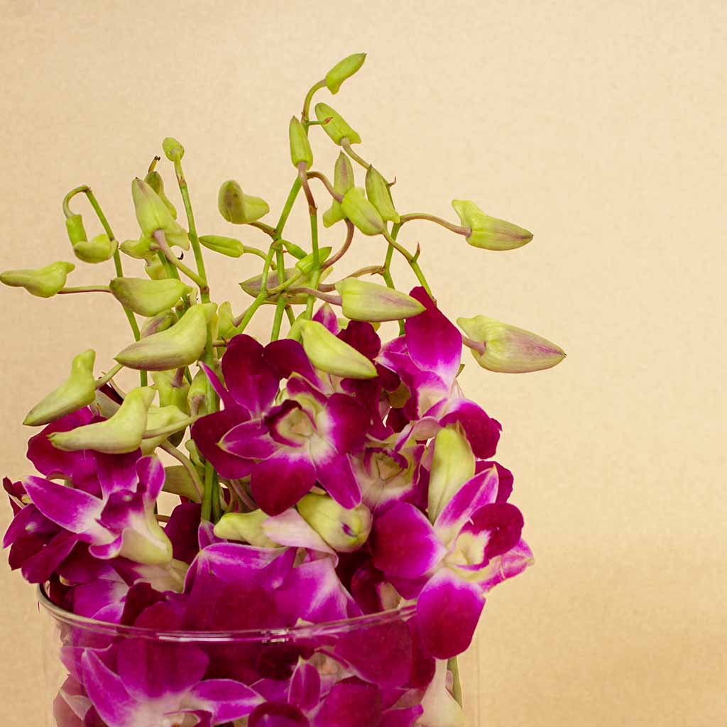 Baby Orchid Flower Vase - 10 Roses