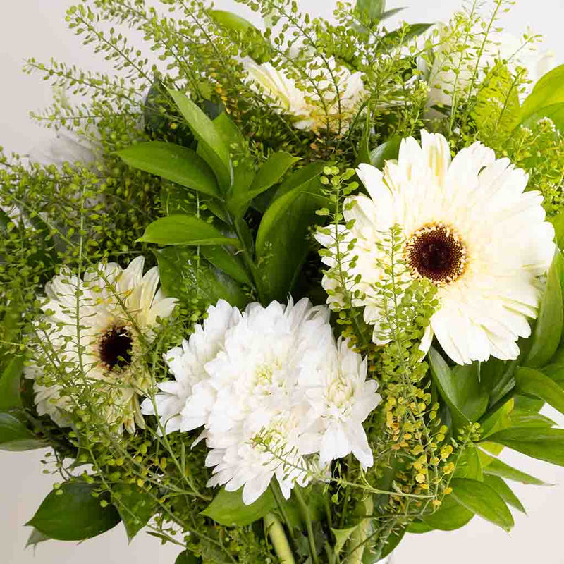 Whisper of White – Gerbera & Caranthantum Vase