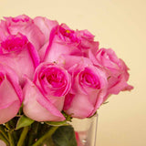 Cube Vase with 20 Pink Roses