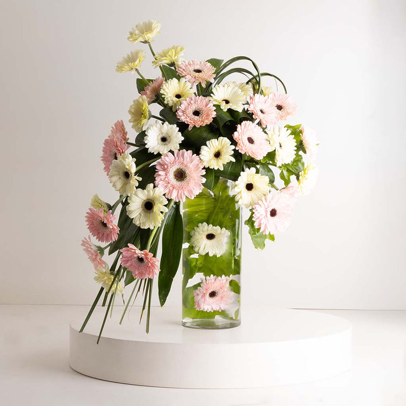 Blush Gerbera Cascade