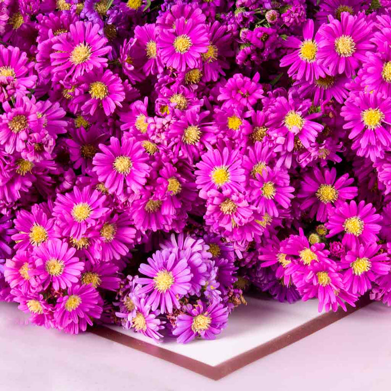 Flowrista Purple Chrysanthemum Bouquet