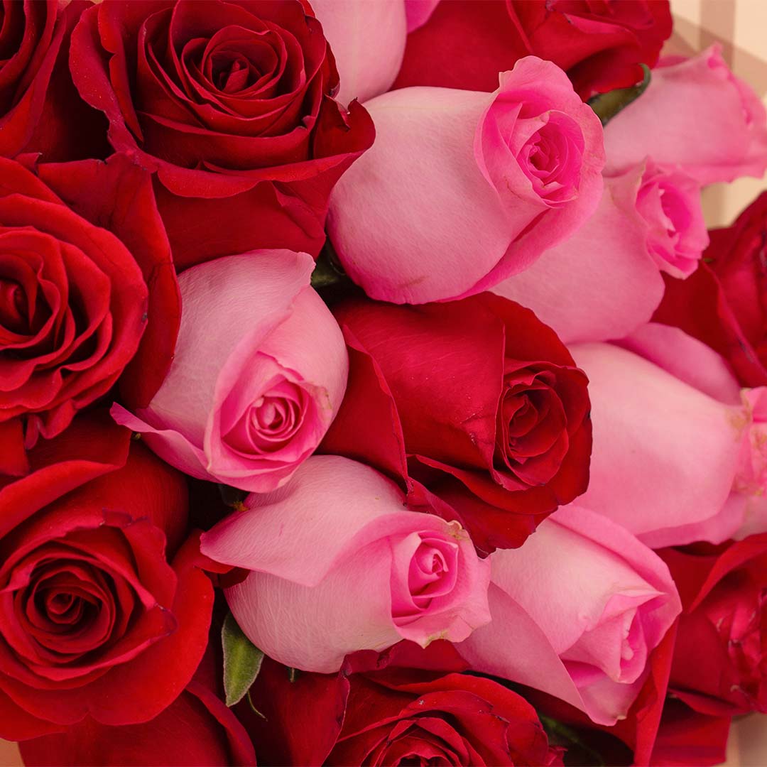 Flowrista | Red & Pink Roses Bouquet