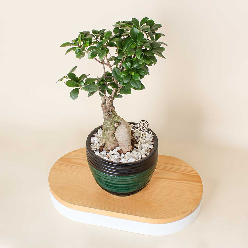 Natural Touches Vase