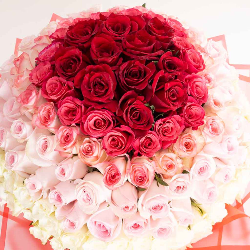 Romantic Spectrum Bouquet - 150 Roses