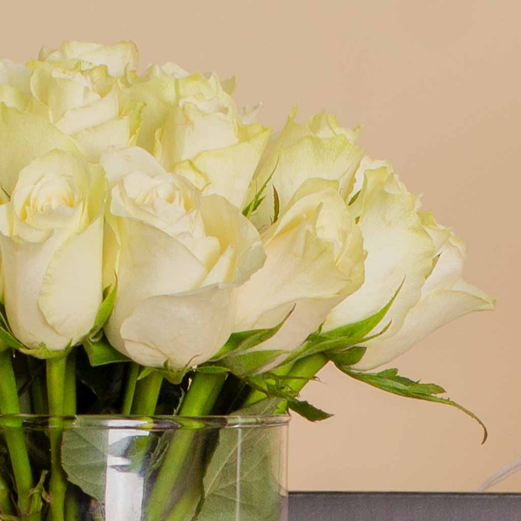 Timeless Gift: Lazaro Lil Smart Gray & 25 White Roses
