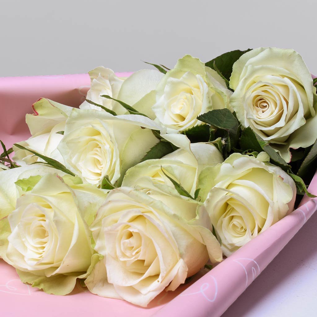 Bouquet of 12 Pure White Roses