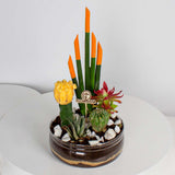 Cylindrical Snake Plant & Yellow Moon Cactus Vase Ii
