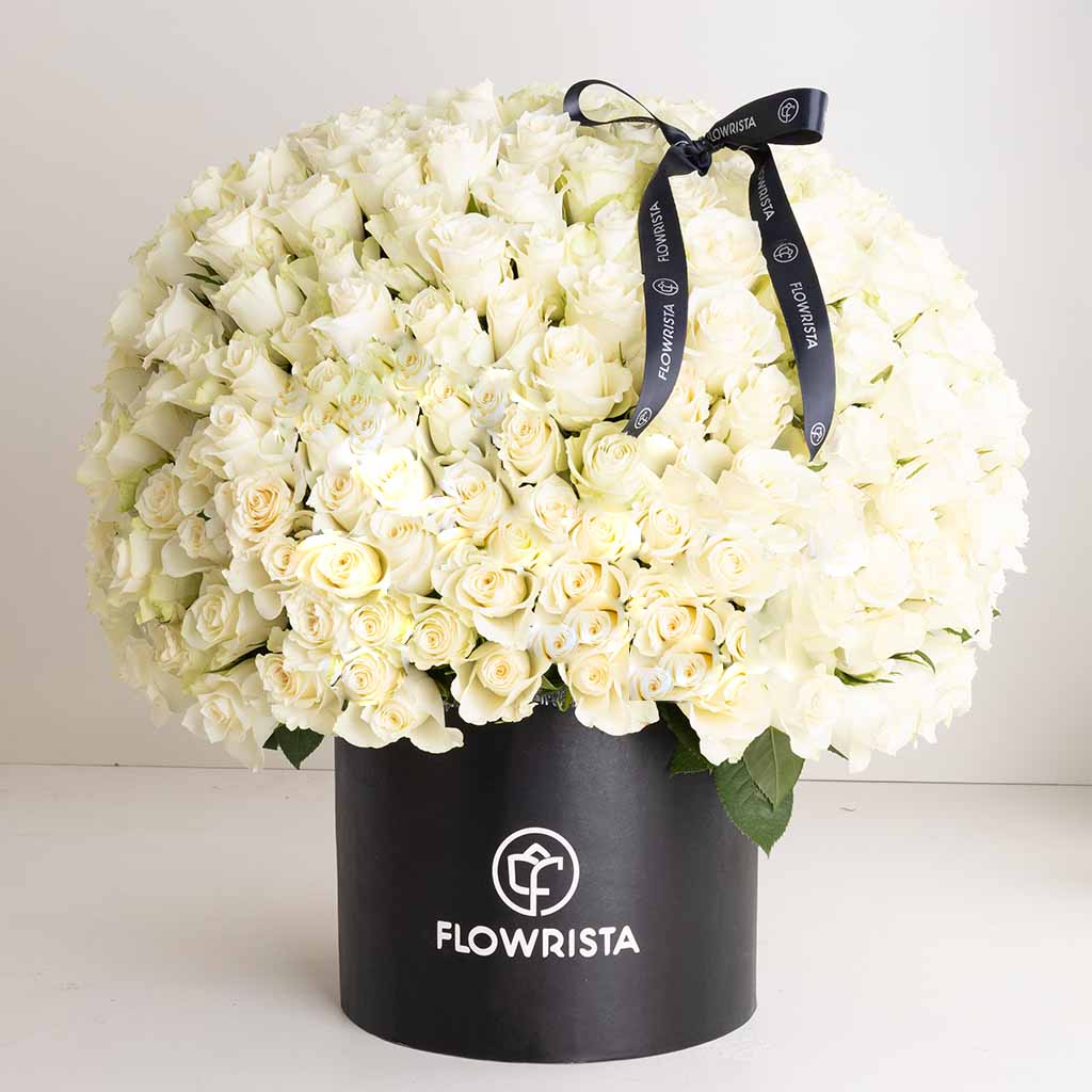 Flowrista White Rose Box - 250 Stems
