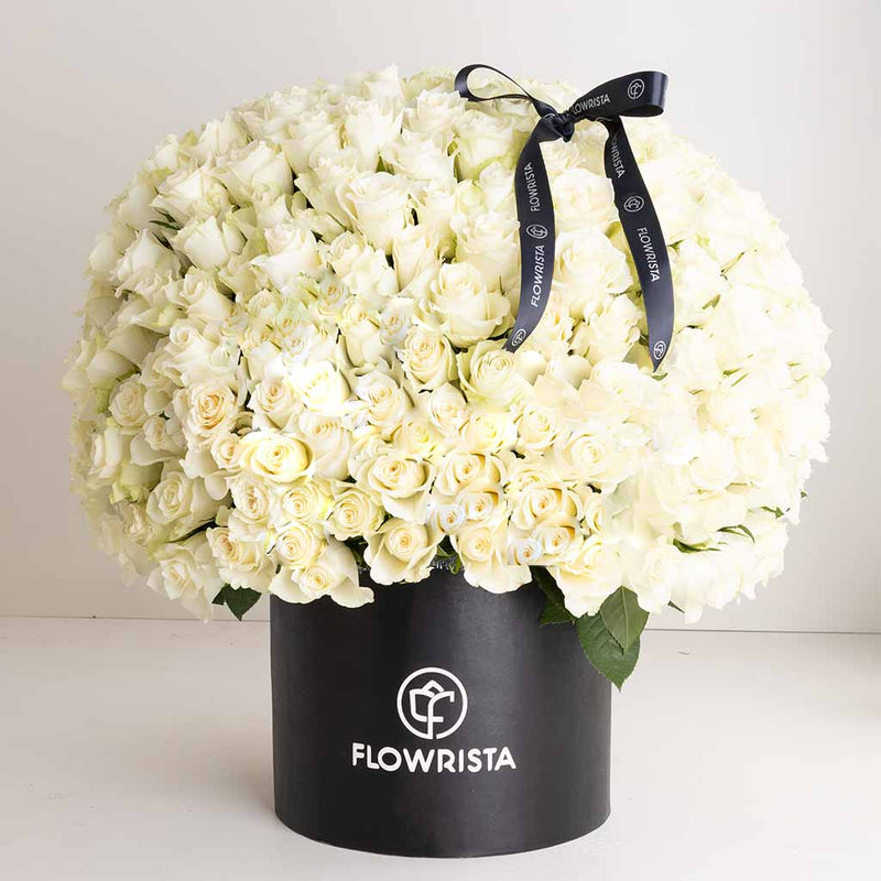 Flowrista White Rose Box - 250 Stems