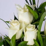 Levai & Loris Duke Card Holder Ii | White Roses Vase