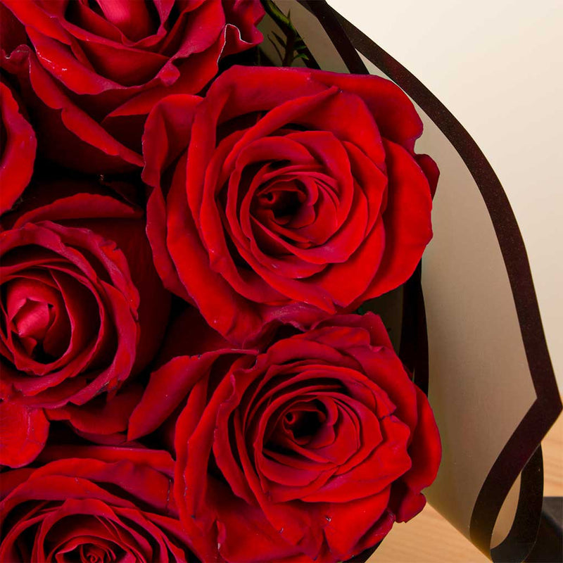 Felizmoda Van Cleef Colorful Silver Bracelet & Red Rose