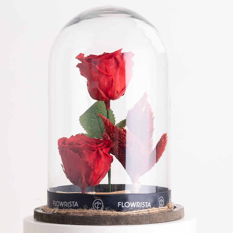 Double Red Eternity Rose