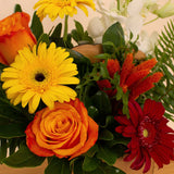 Flowrista | Colorful Gerbera & Mixed Flowers