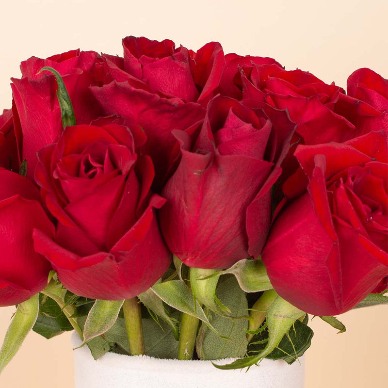Red Signature Vase - 20 Stems