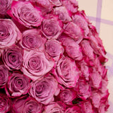 Deep purple 50 roses bouquet