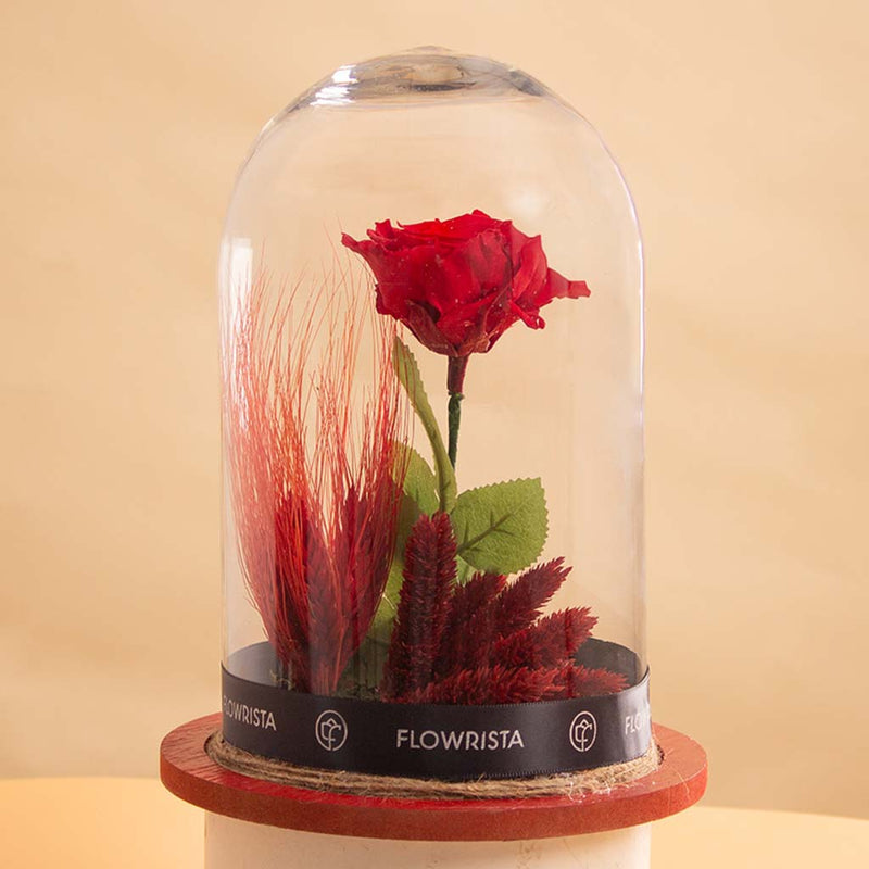 Large Red Eternity Rose