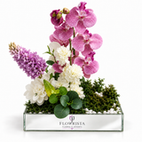 A rectangular glass floral arrangement box filled with green moss, white pebbles, and a mix of flowers including pink orchids, purple conifer-like blooms, and white daisies, photographed on a clean white background. The front of the box shows the brand name FLOWRISTA.