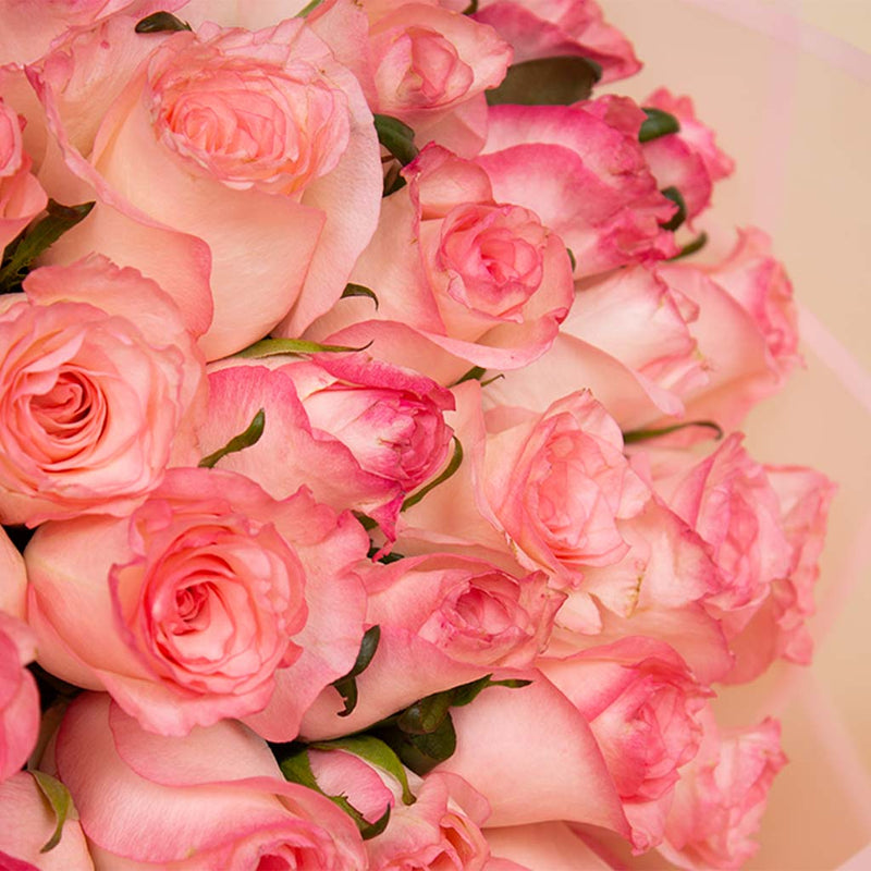 Roses Pink Bouquet 30