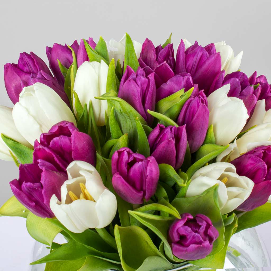 White & Purple Tulip Vase