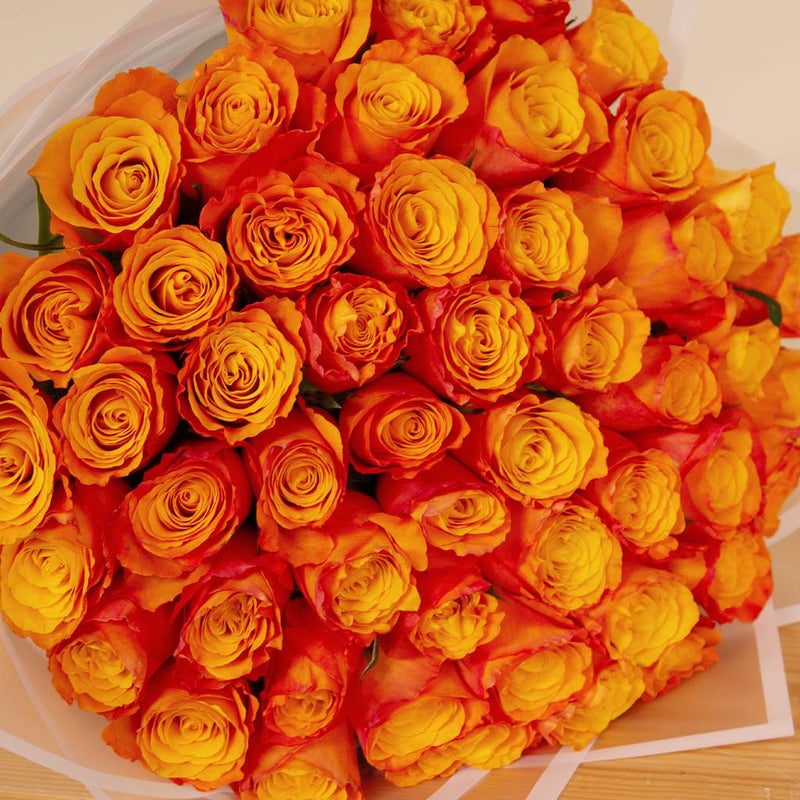 Hand Bouquet of 50 Orange Roses