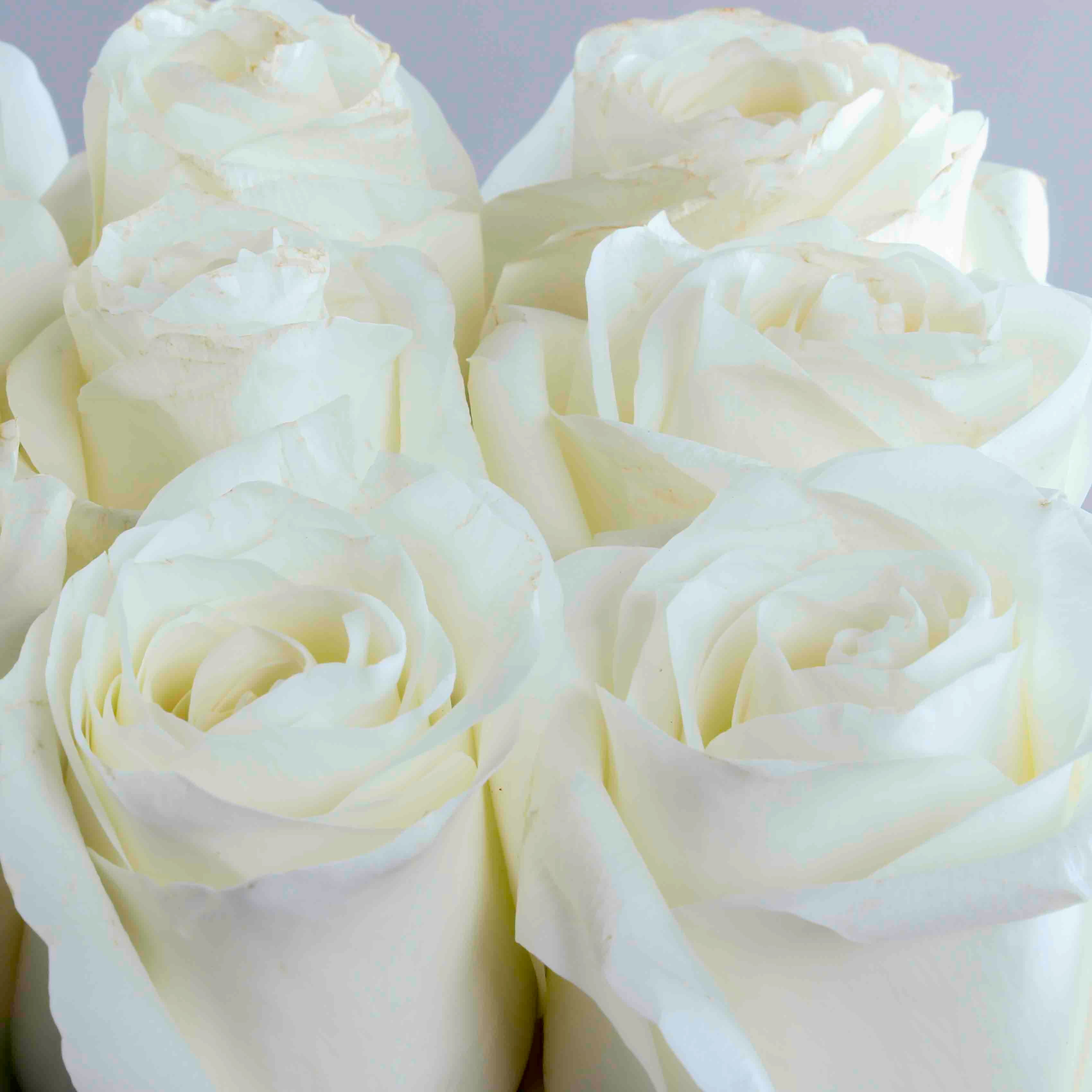 White Roses Box