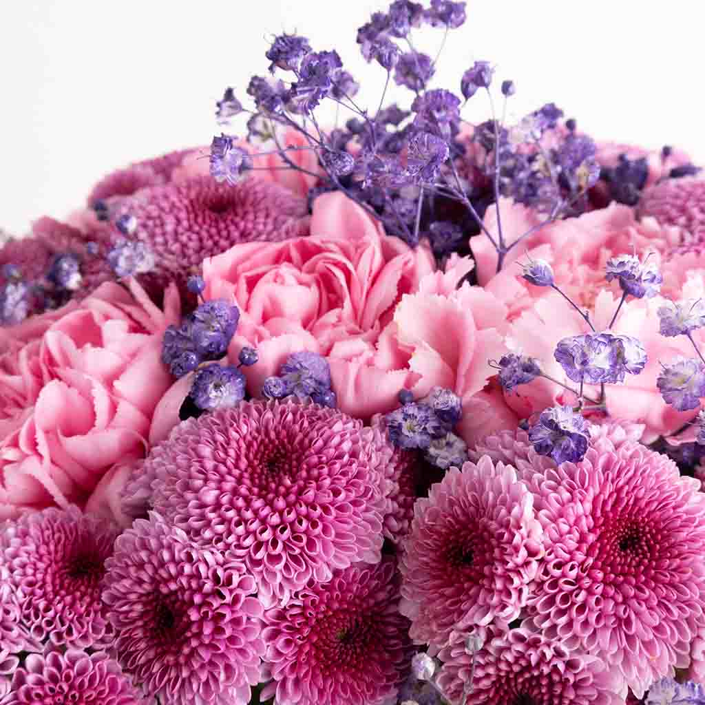 Lollipop Carnation Vase